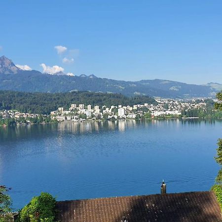 Queen Home Luzern Exteriör bild
