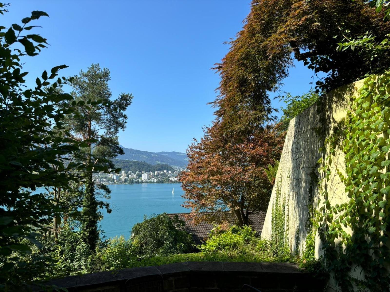 Queen Home Luzern Exteriör bild